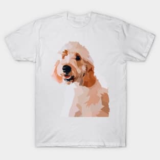 Cute Golden Doodle 2 T-Shirt